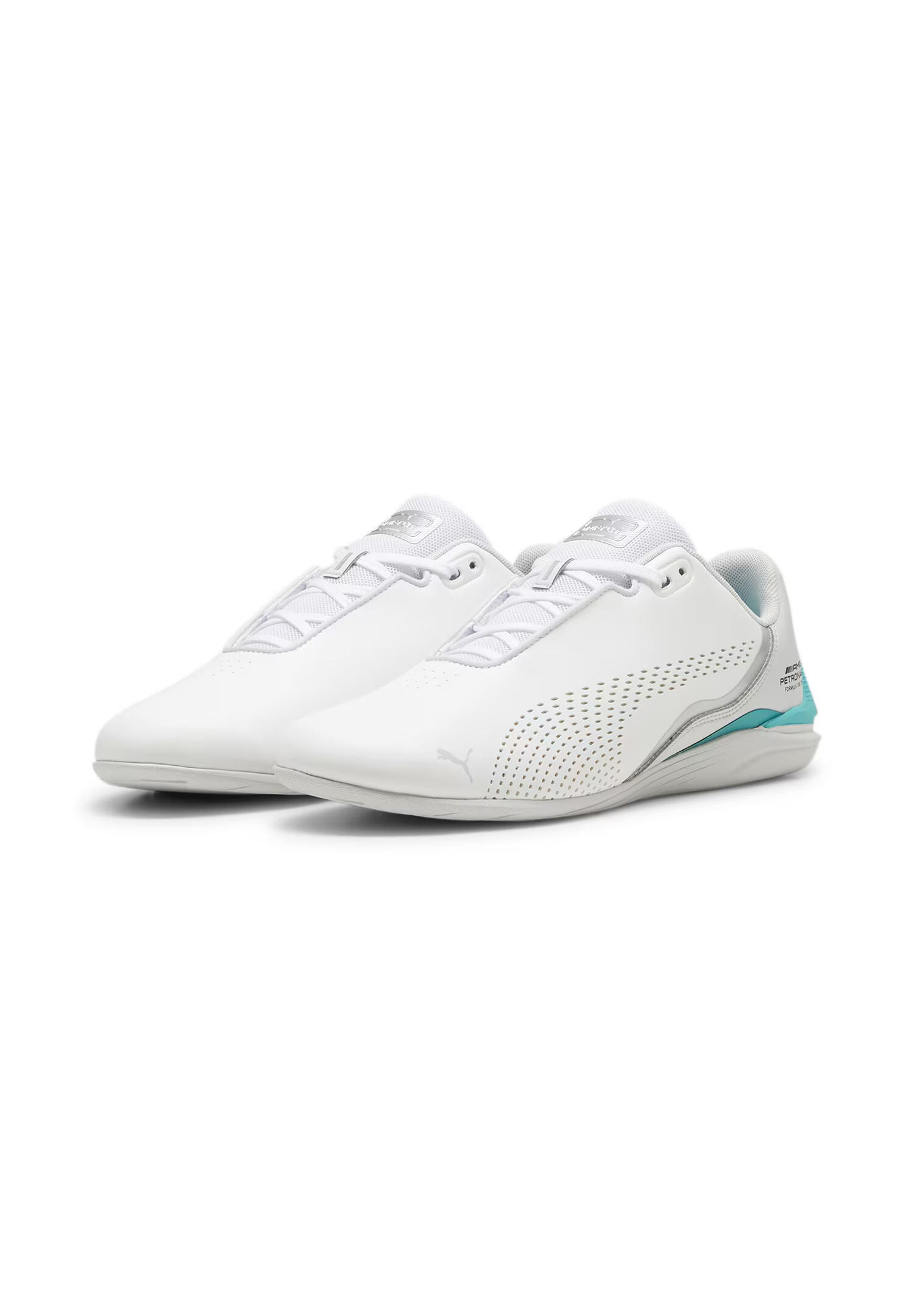 PUMA picture