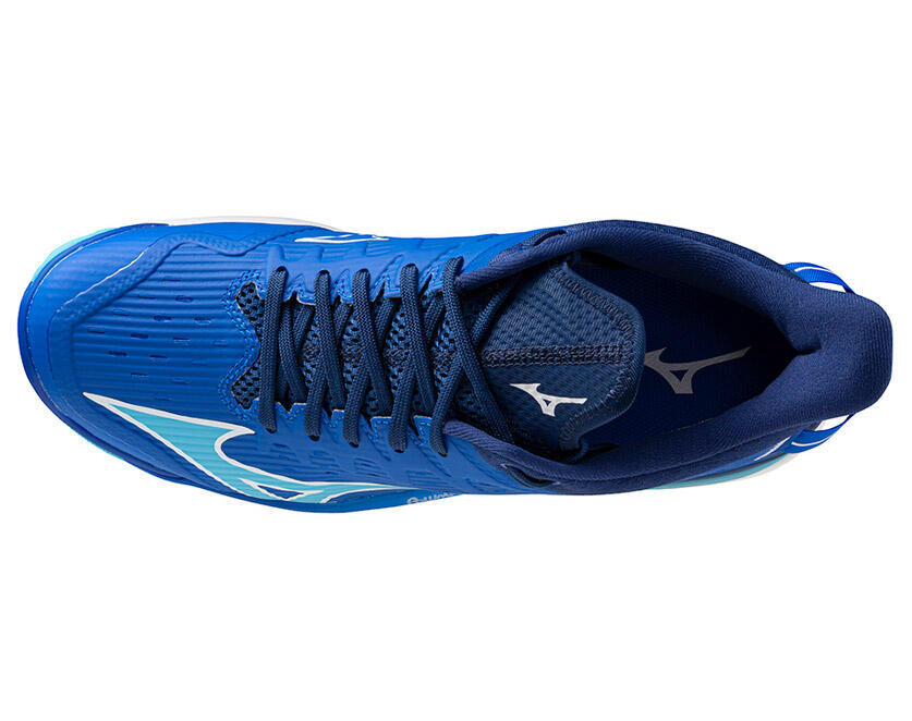 Chaussures indoor Mizuno Wave Leopardus 4/5