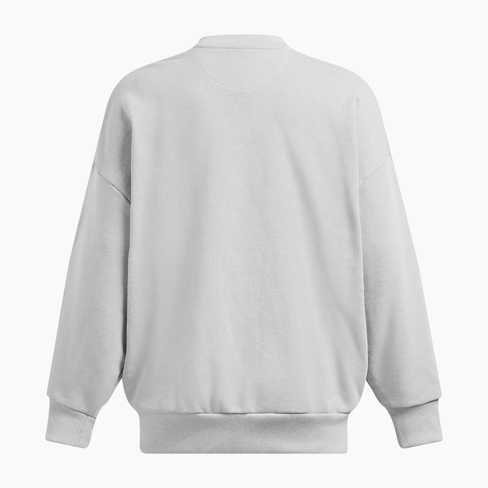 Dámská mikina Icon Heavyweight Terry Oversized Crew 2/3