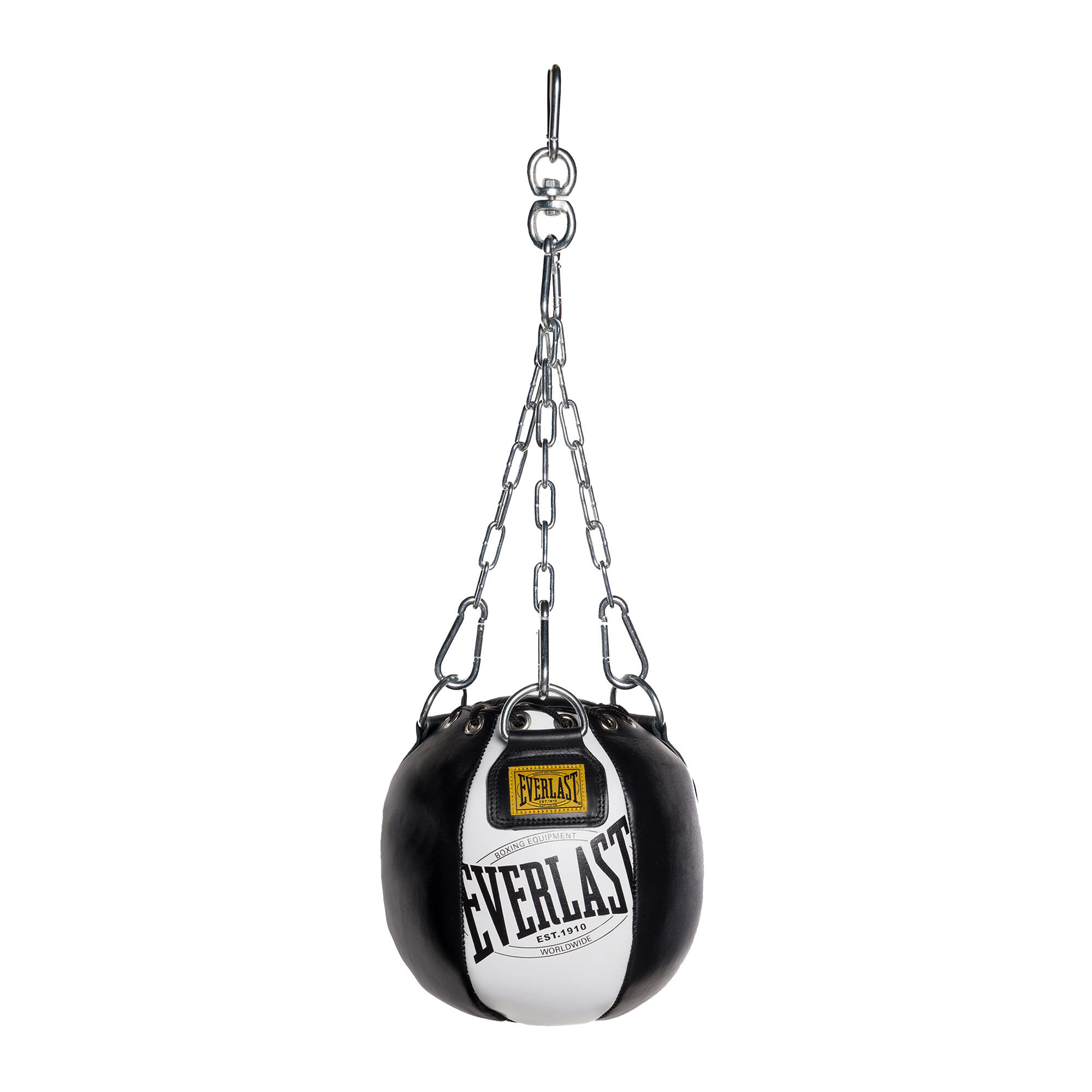 EVERLAST picture
