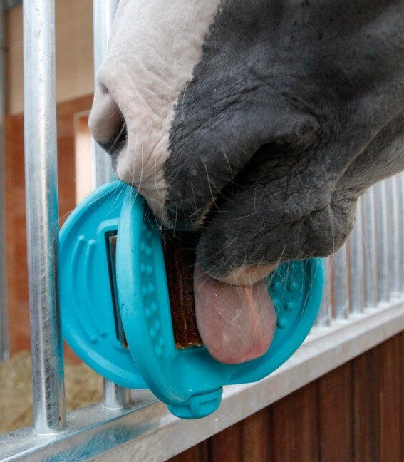 BIZZY HORSE picture