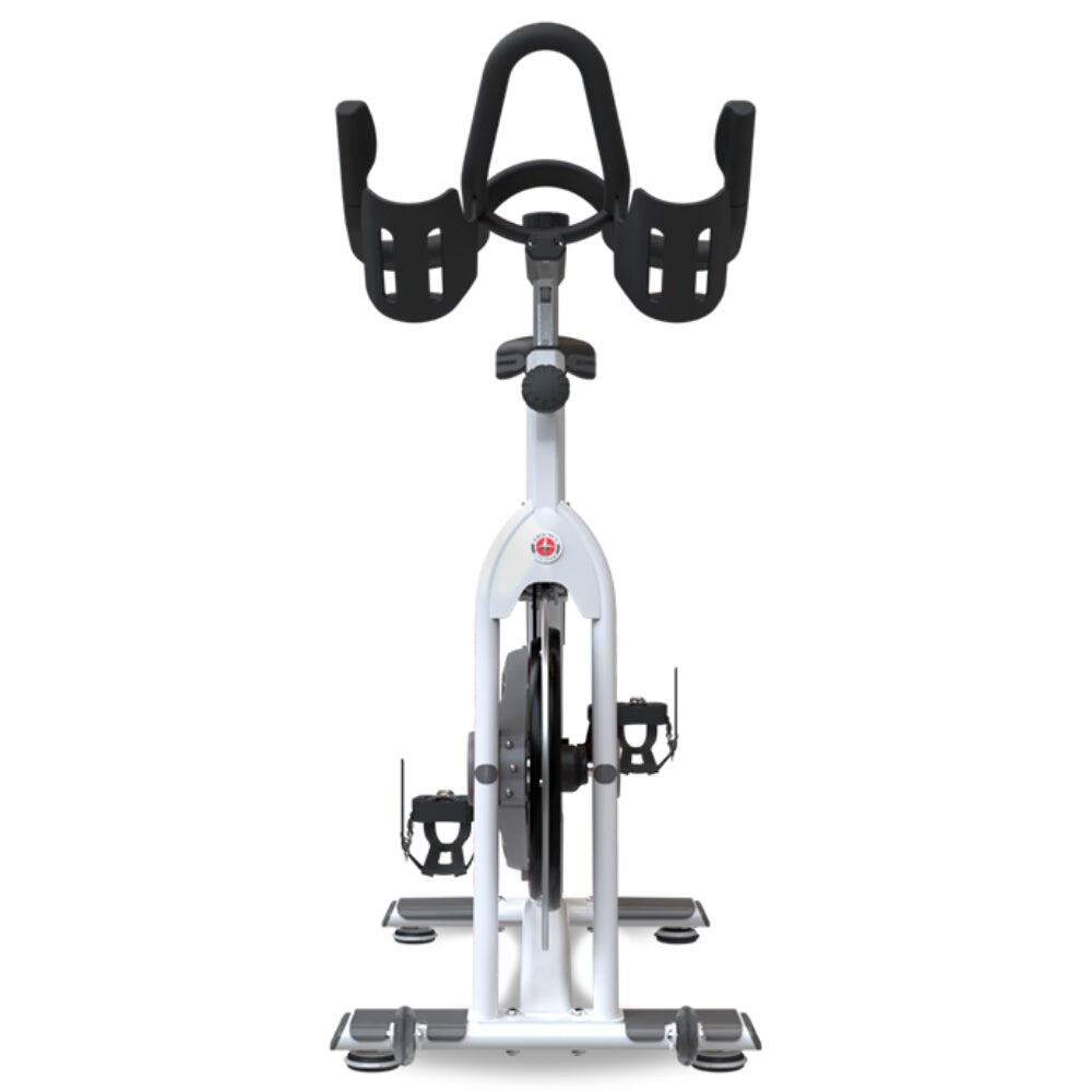 Schwinn ac performance plus maintenance hotsell