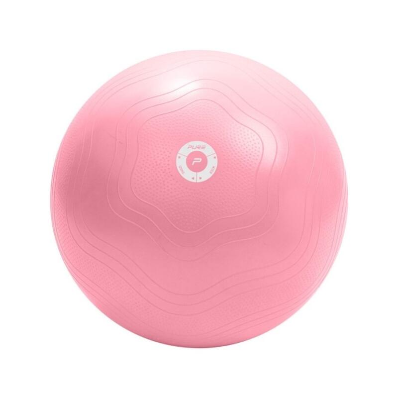 Pure2Improve Ballon d'exercice 65 cm Rose