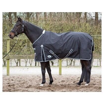 HARRYS HORSE picture