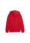 Veste à Capuche PUMA Teamgoal Casuals pour Garçons 3/3