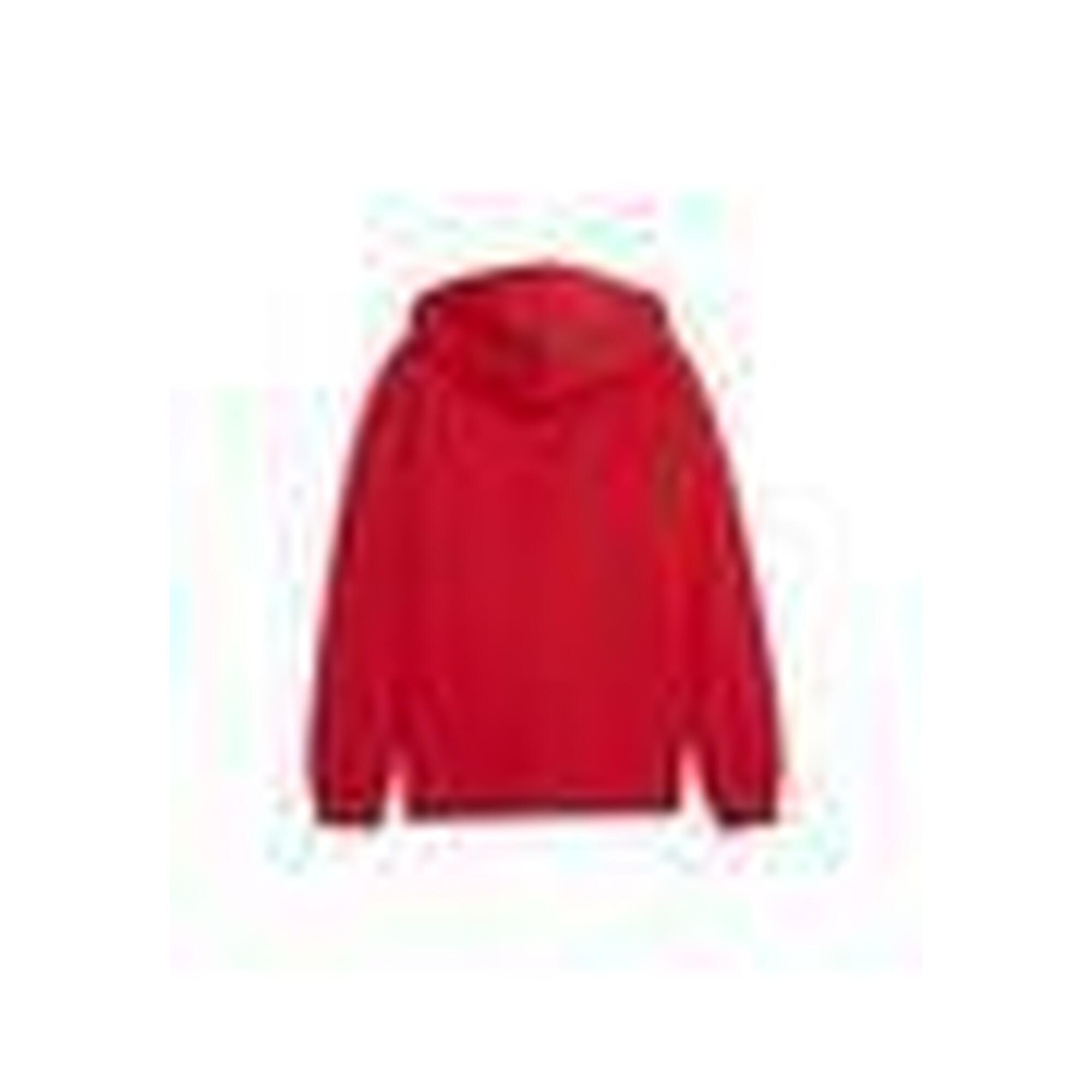 Hanorac pentru copii Puma teamGoal Casuals Hooded