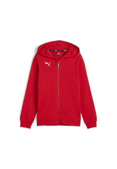 Veste à Capuche PUMA Teamgoal Casuals pour Garçon