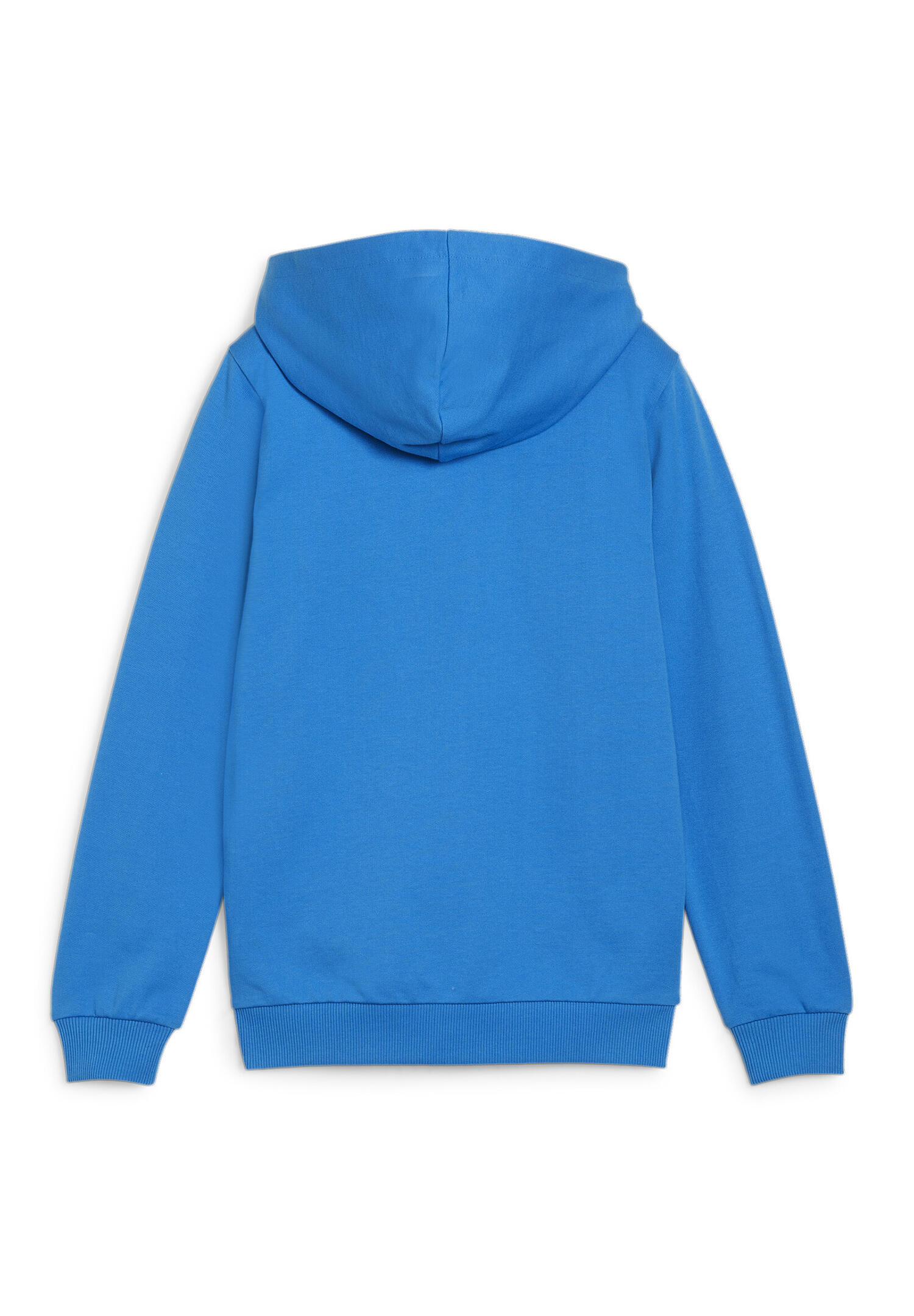 Felpa per bambini Puma teamGoal Casuals Hooded 2/2