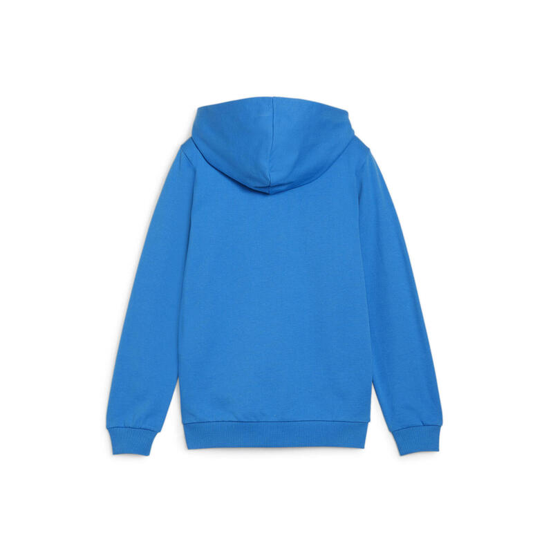 Hanorac pentru copii Puma teamGoal Casuals Hooded