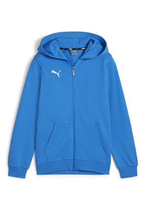 Bluza dla dzieci Puma teamGoal Casuals Hooded