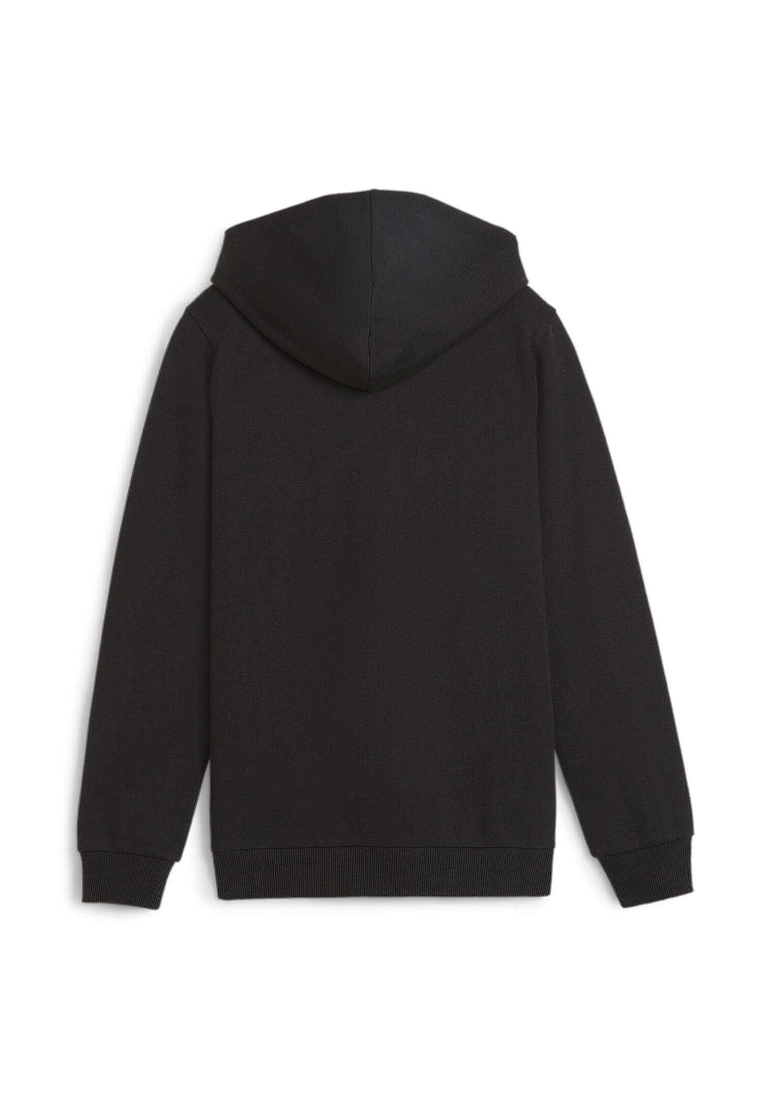 Camisola com capuz para criança Puma teamGoal Casuals 2/2