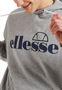 Ellesse OODIA OH Hoody Herren Sweatshirt SHP16470 grau 3/3