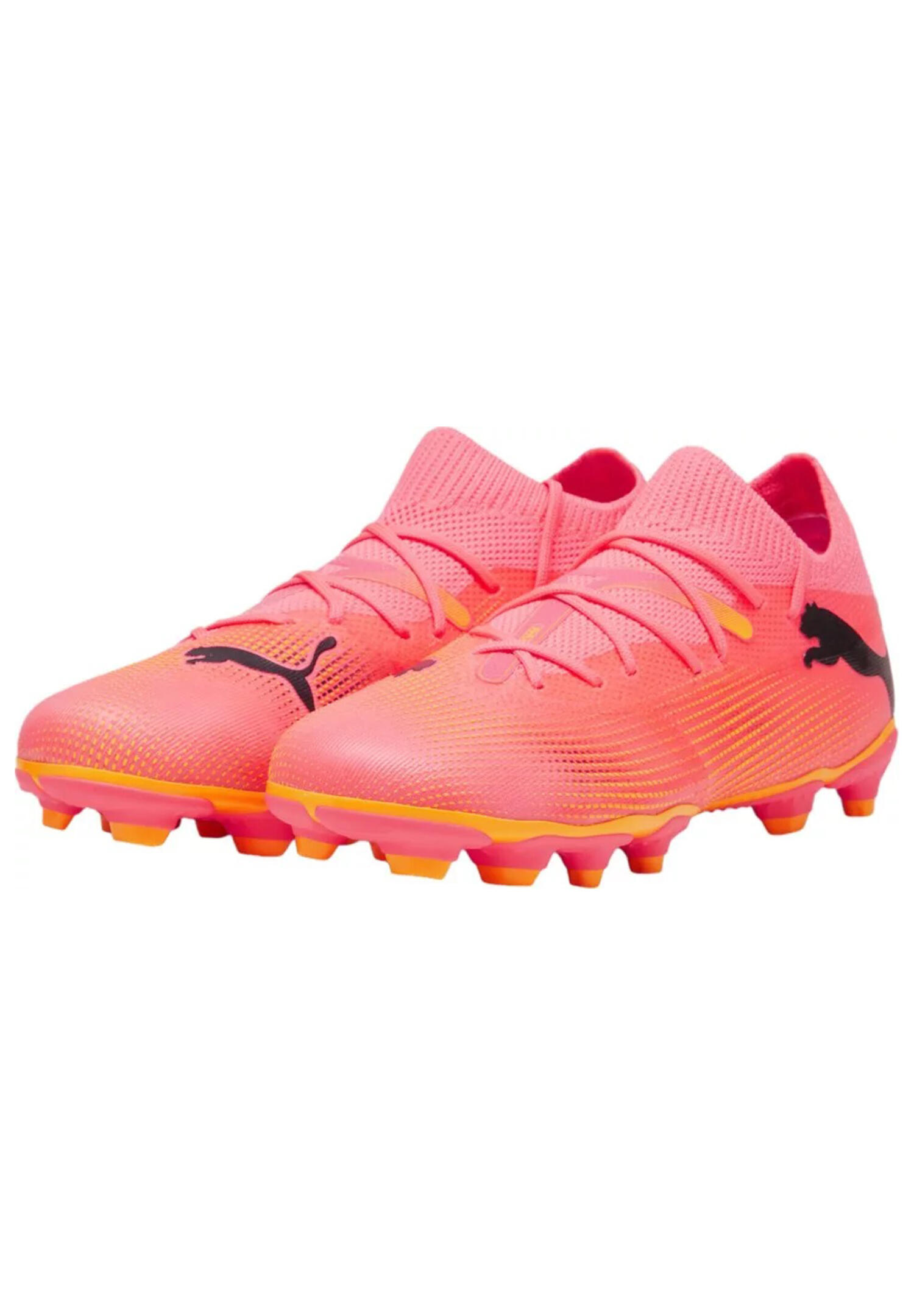 PUMA picture