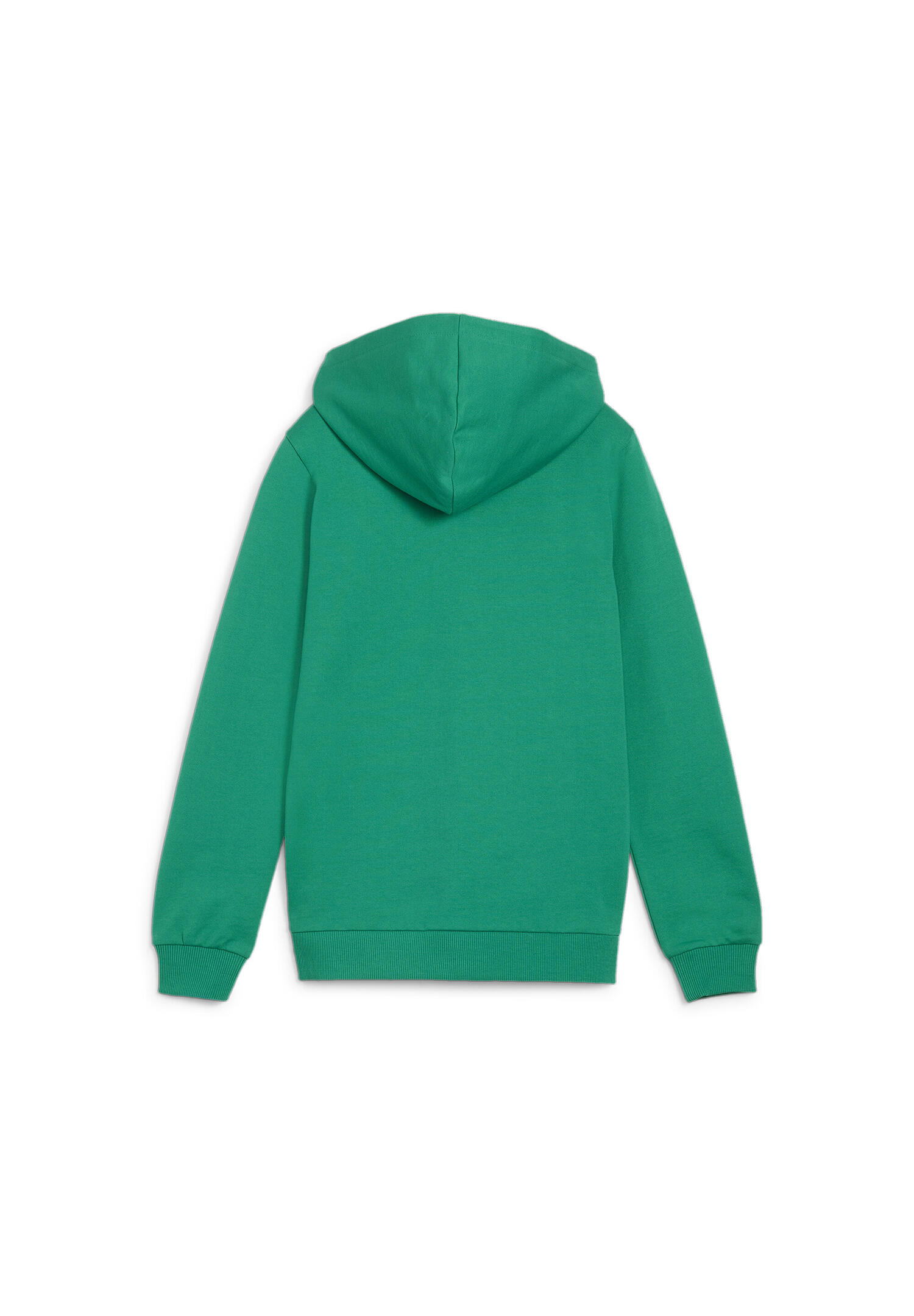 PUMA Kinder teamGOAL Casuals Hooded Jacket Jr Kapuzenjacke 658596 05 grün 2/2