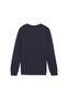 Felpa per bambini Puma teamGOAL Casuals 3/3