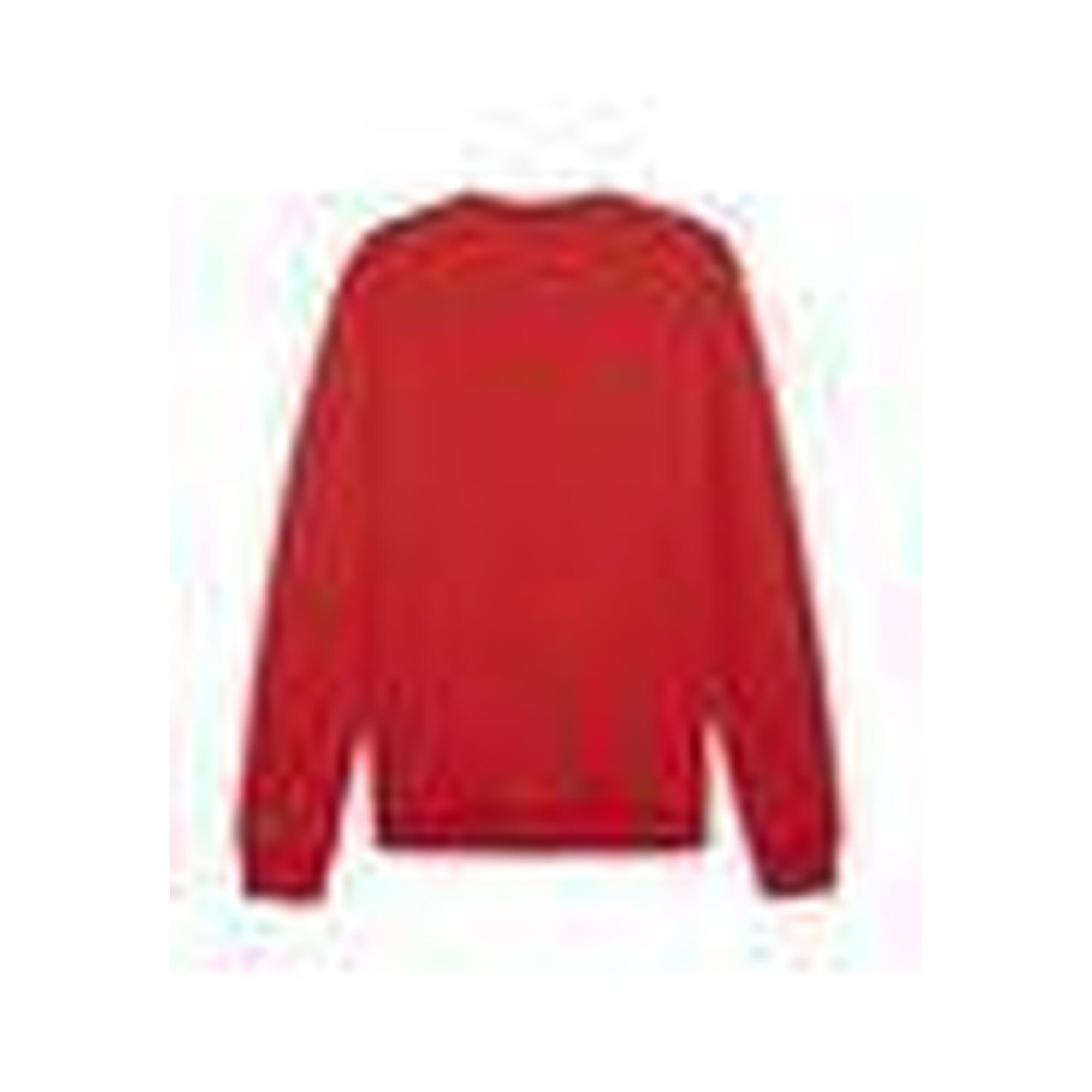 Hanorac bărbați Puma Team Goal Casuals, crew neck, 100% bumbac
