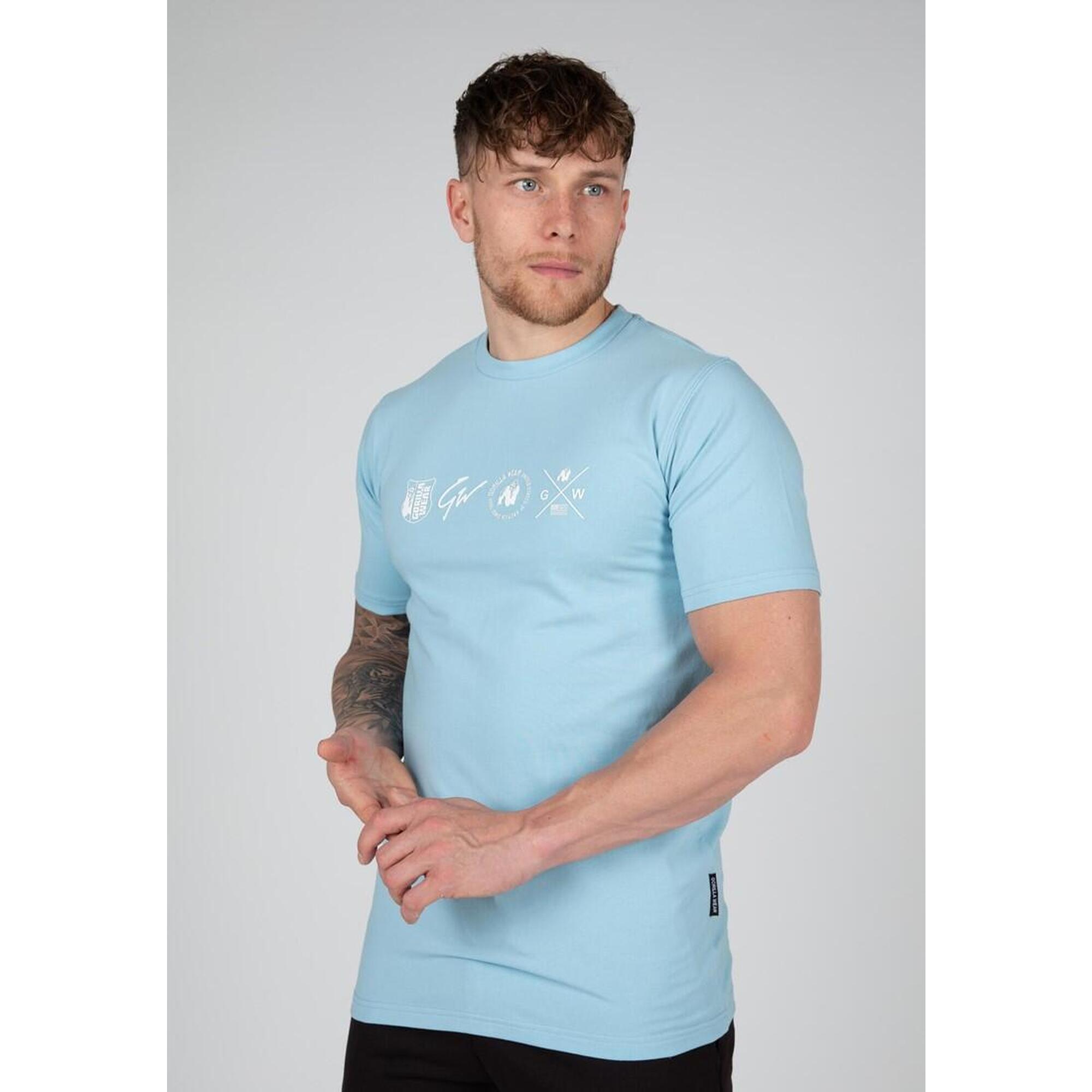 Swanton T-shirt - Bleu