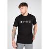 Swanton T-shirt - Noir