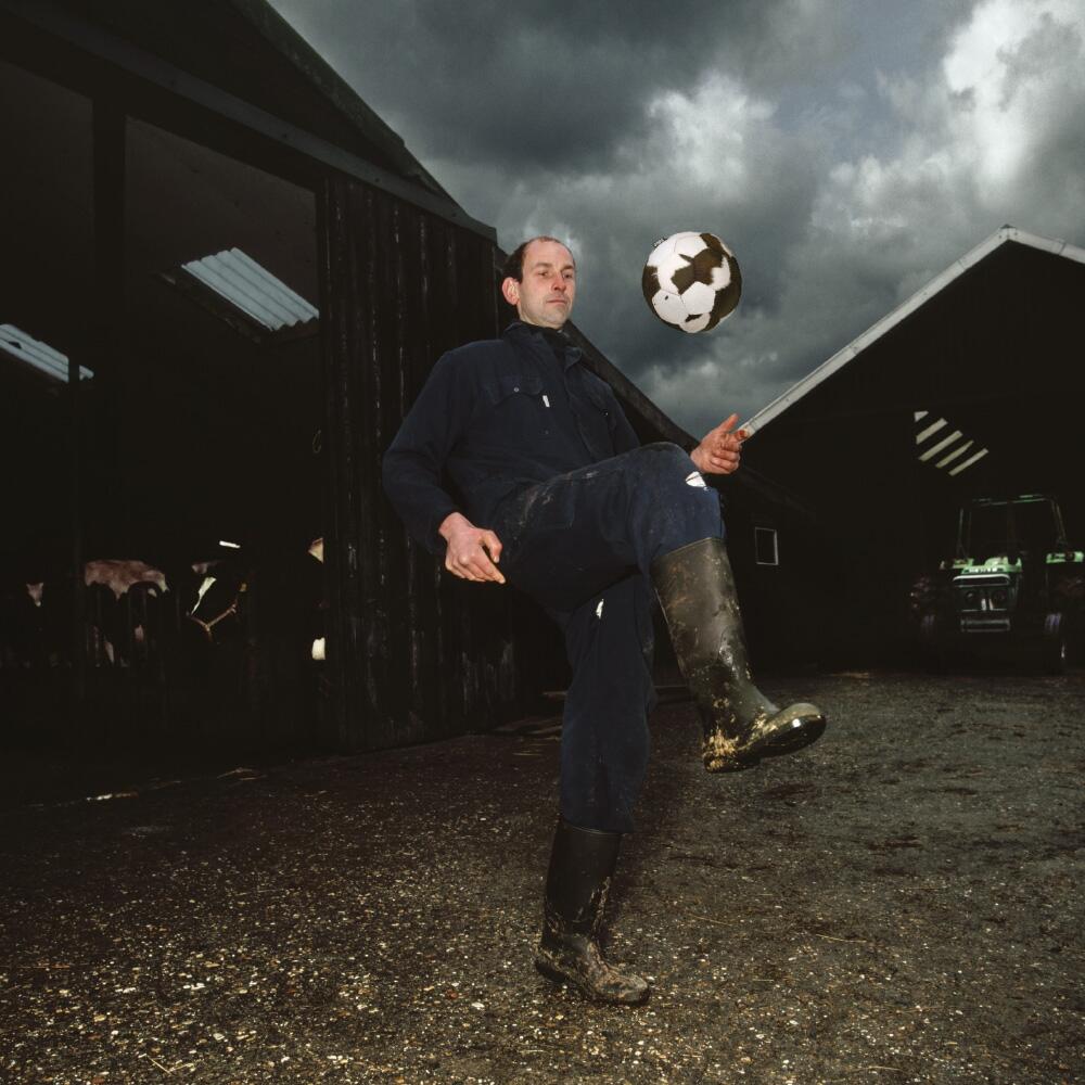 Voetbal cow veelkleurig 2/4