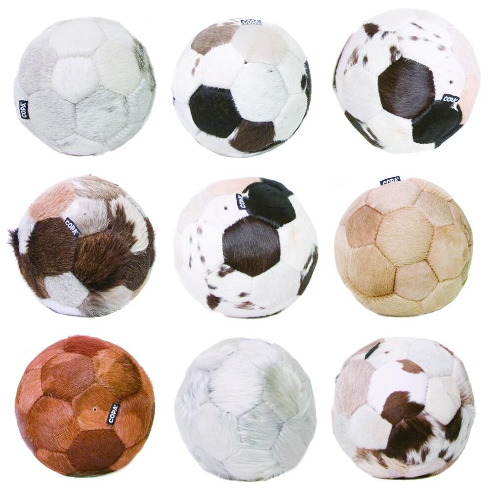 COPA FOOTBALL picture