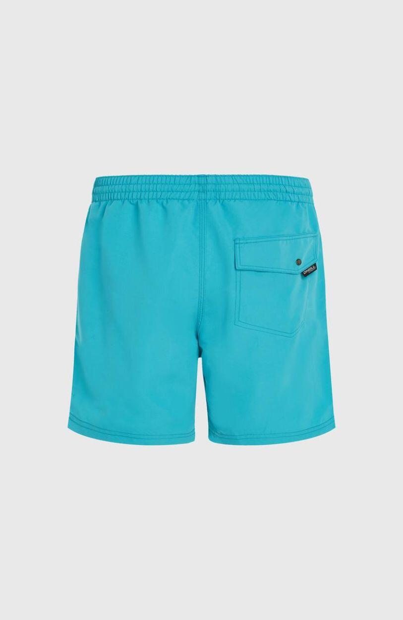 O'NEILL O'neill Vêtements de natation VERT 16'' SWIM SHORTS  Hommes Neon Blue 2/5