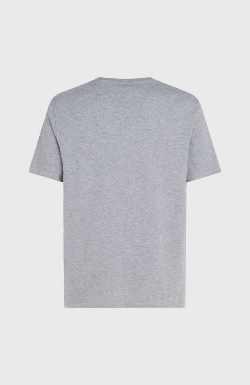 O'NEILL O'neill T-Shirts O'Neill T-Shirt HEREN Silver Melee -A 3/3