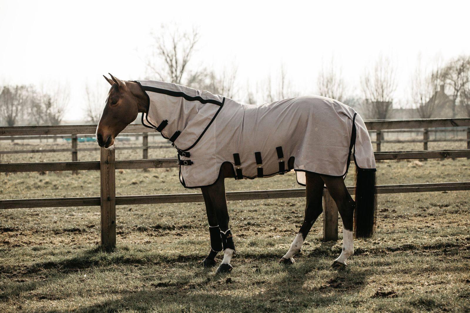 KENTUCKY HORSEWEAR picture