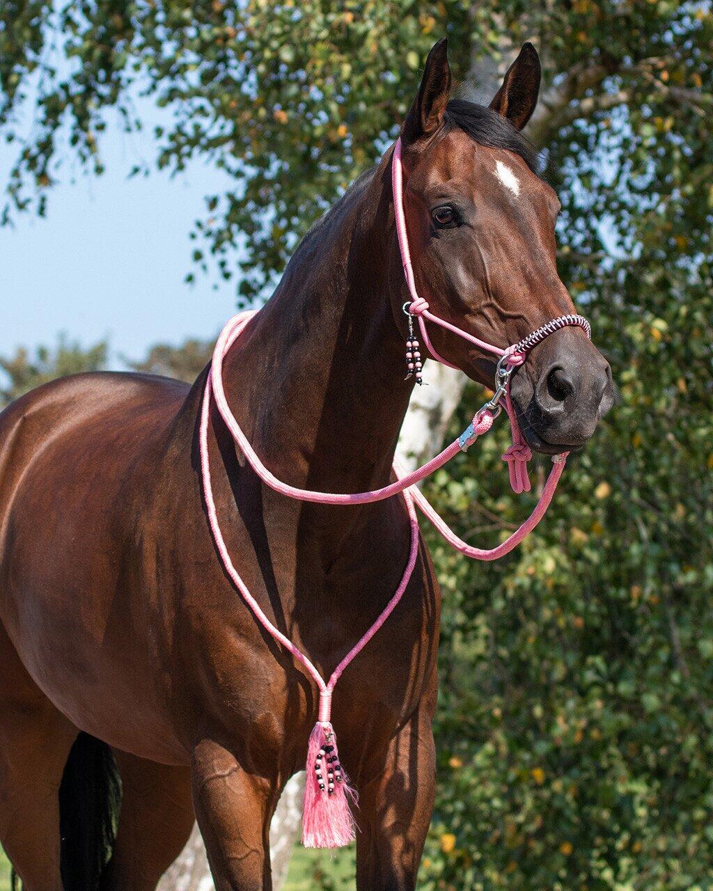QHP Touwhalster & Neckrope Liberty - Flamingo Pink (Full) (Full) 2/7