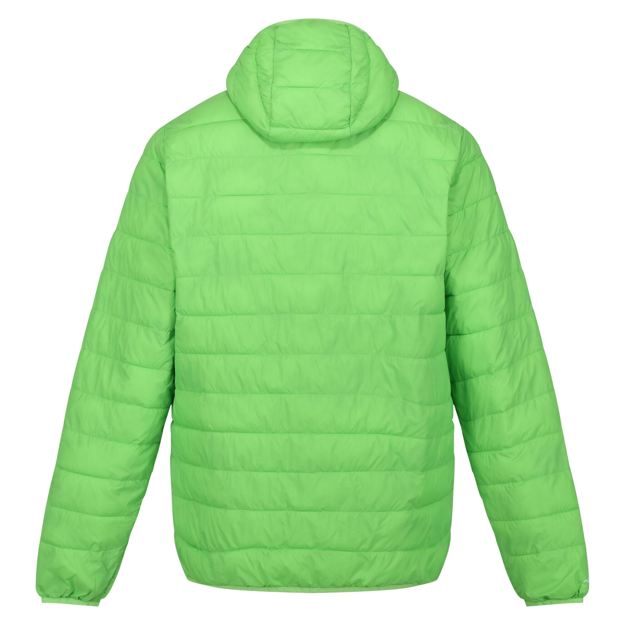Giacca Con Cappuccio Leggera Uomo Regatta Hillpack Verde Gelsomino 2/5