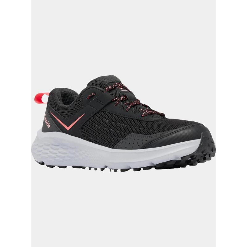 9927cae2-38b2-41b8-9e3d-2578c5ecec3e_c1c1