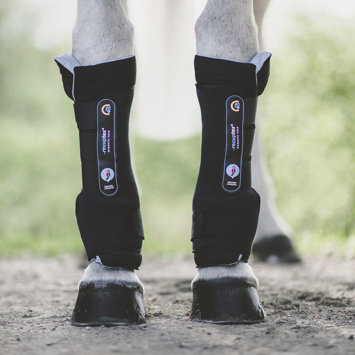 KENTUCKY HORSEWEAR picture