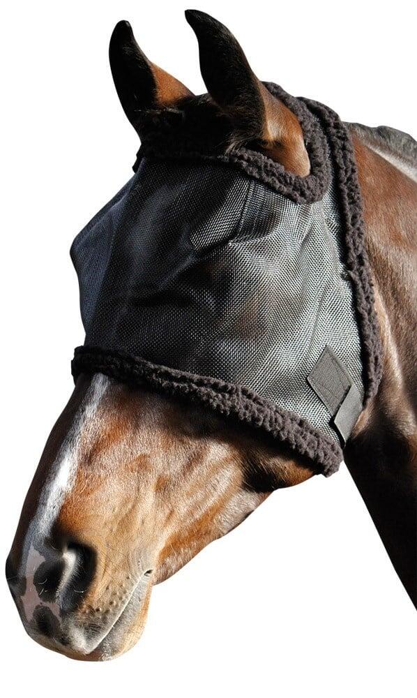 HARRYS HORSE picture
