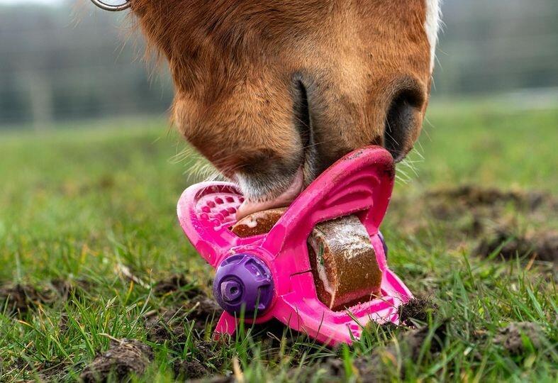 Bizzy Lick  Ball - Roze 3/3