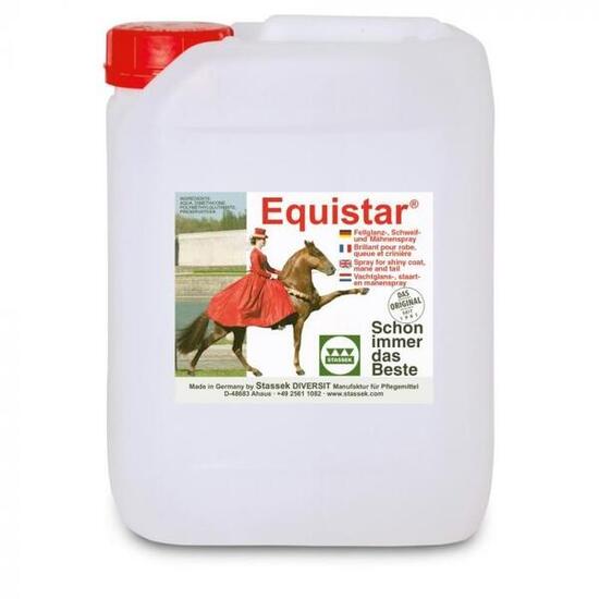 Stassek Equistar antiklit & glansspray