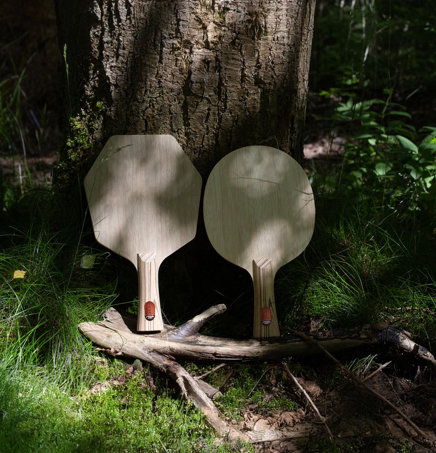 MADERA DE PING PONG STIGA Pure Cybershape 4/5