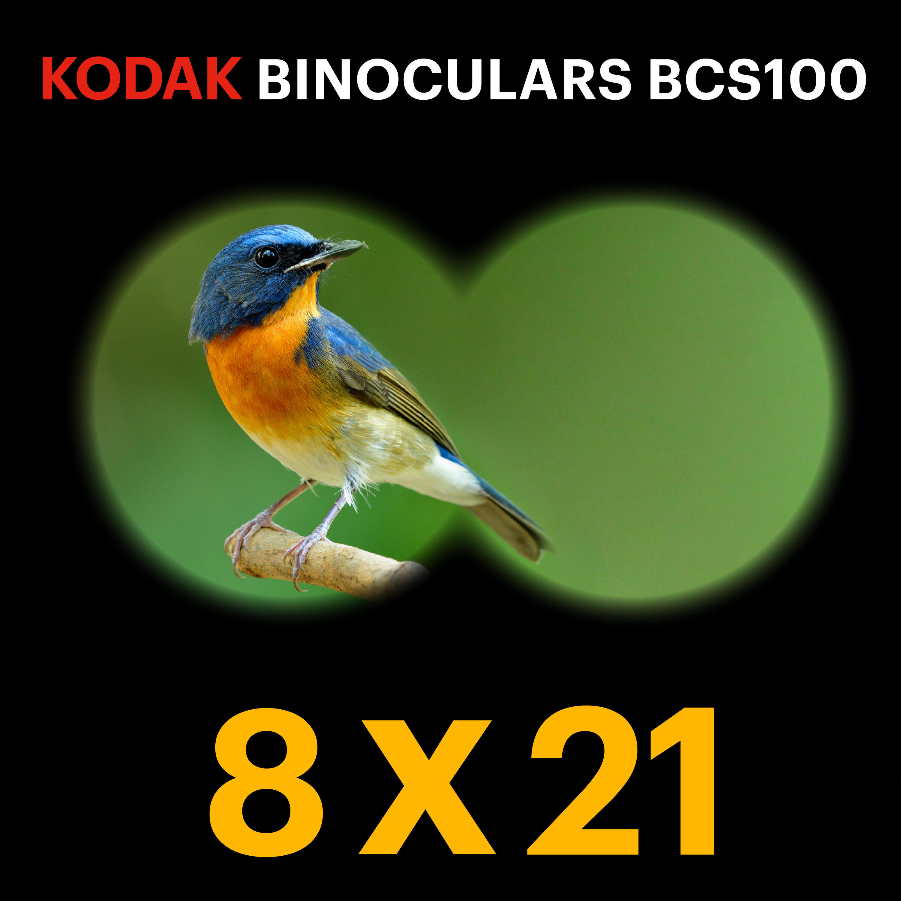 KODAK Jumelle Enfant BCS100 - Compacte 8X, Revêtement Gomme, Rouge 2/5