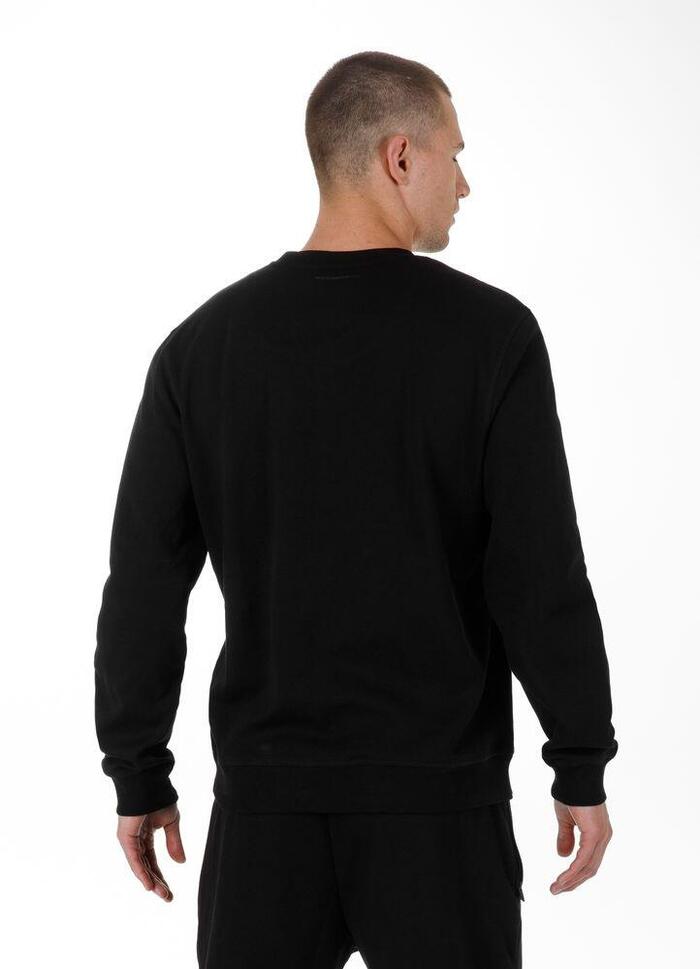 Bluza męska Pitbull Seahill