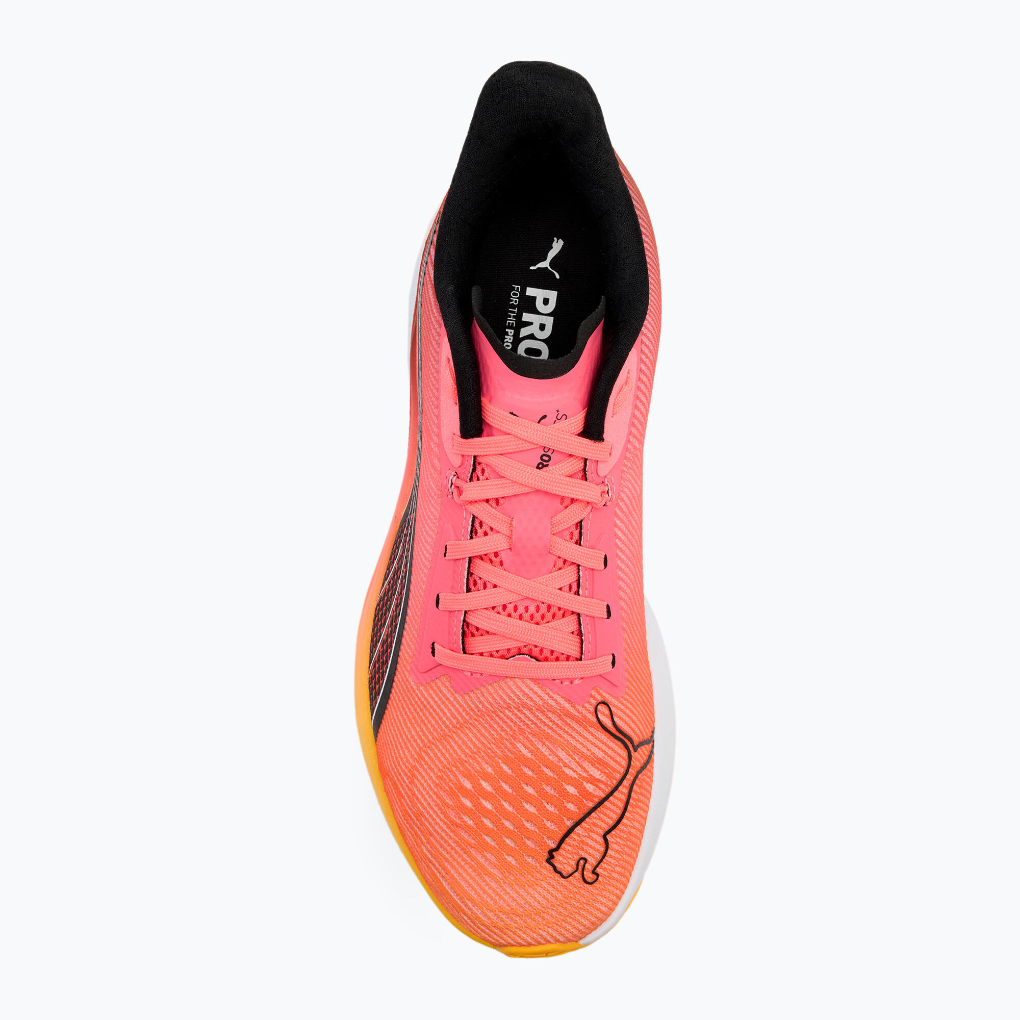 Chaussures de course PUMA Darter Pro 5/5