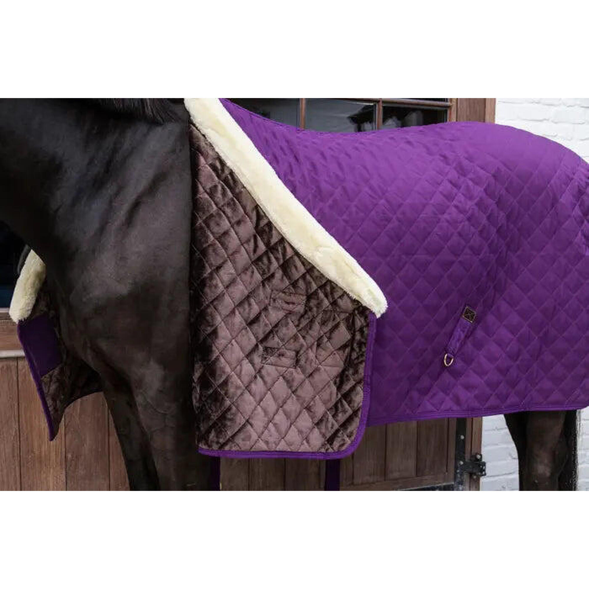 Kentucky Horsewear - Showdeken - Royal Purple - 165-7'3 160 gram