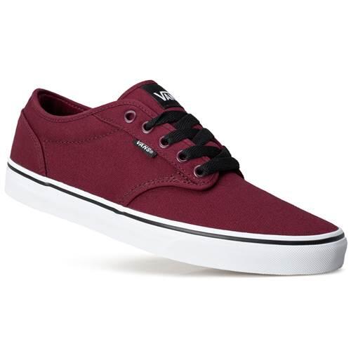 VANS picture