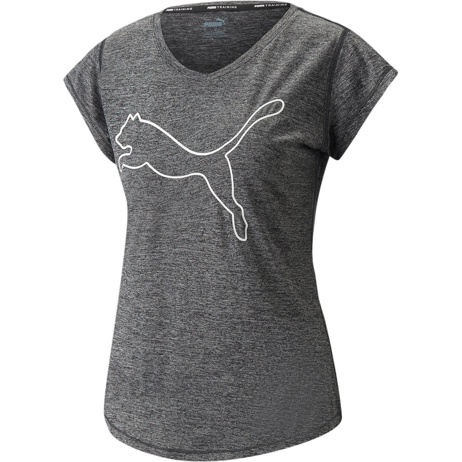 PUMA picture