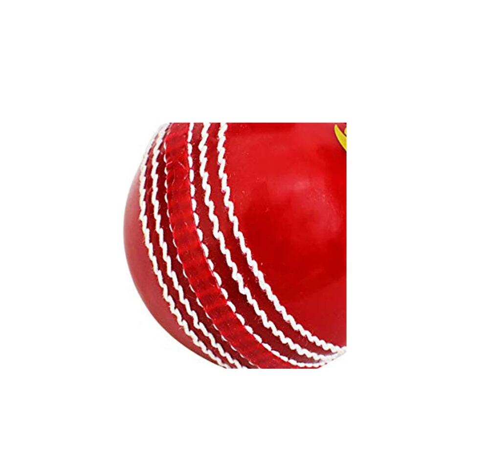 DSC Incrediball Marathon Tennis Cricket Ball | Water Resistant |Beginner 5/5