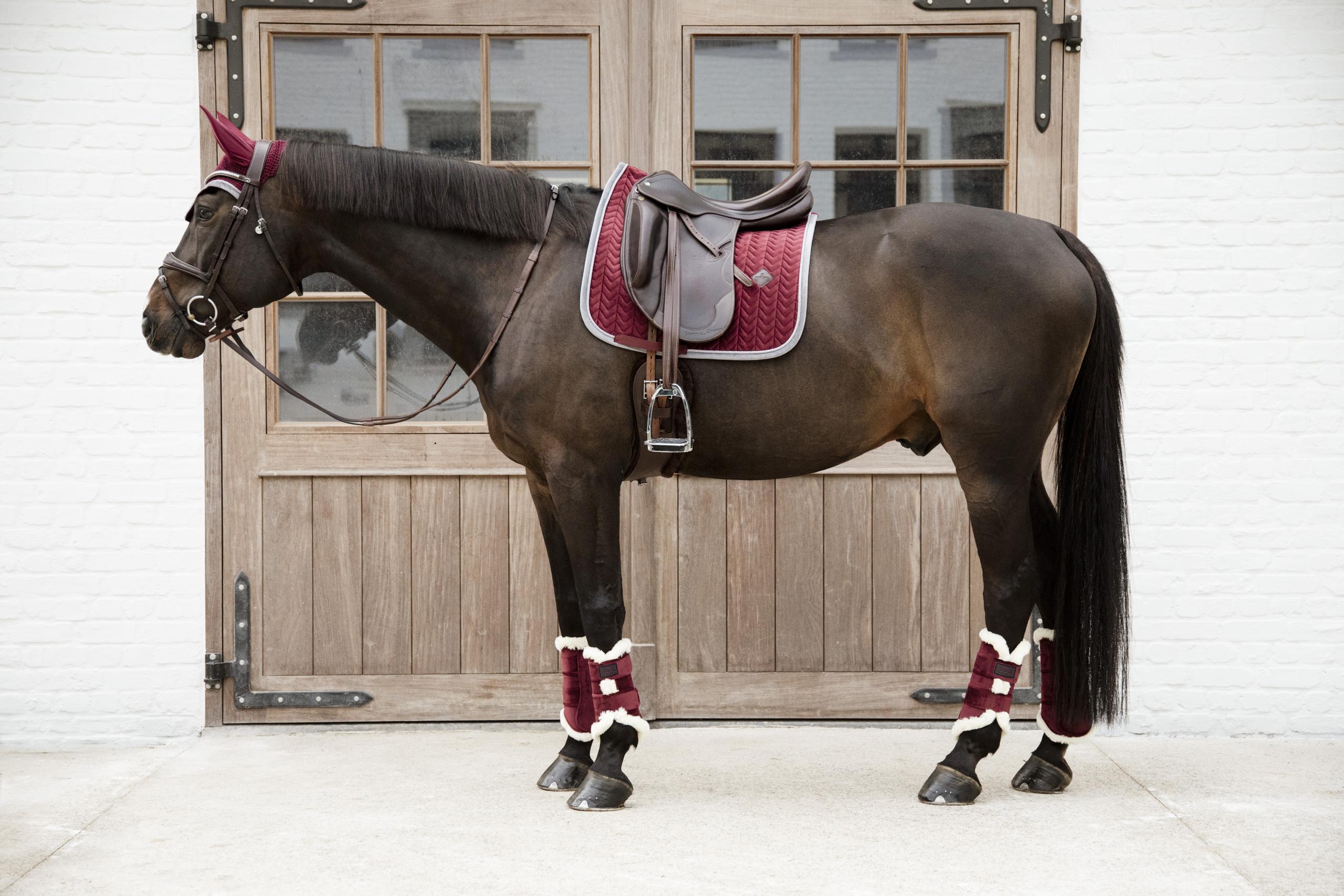 Tapis de selle velours contrast dressage bordeaux 3/5