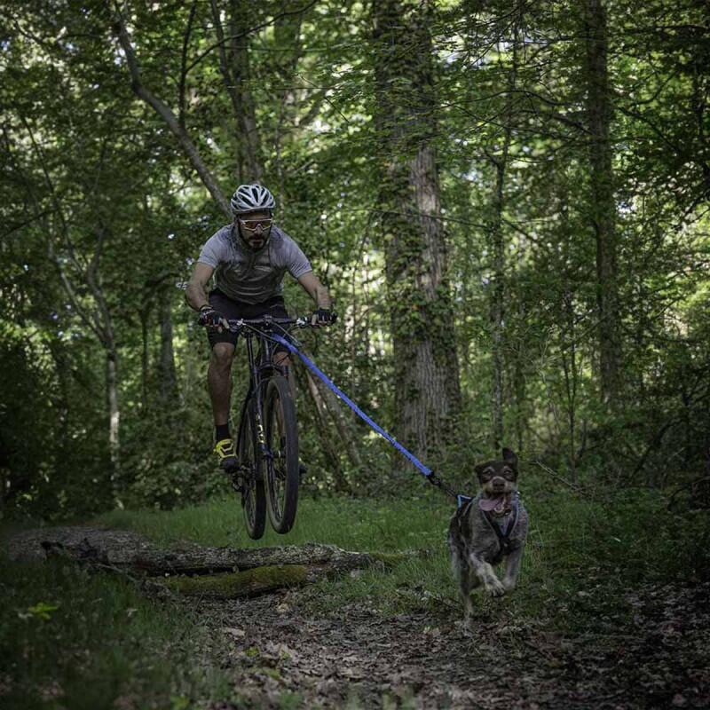 Laisse cani-VTT petit chien Bikejor Leash SD – Inlandsis 2/6
