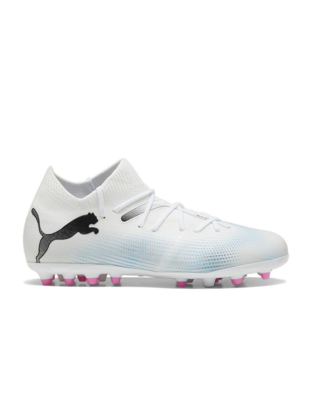 PUMA picture