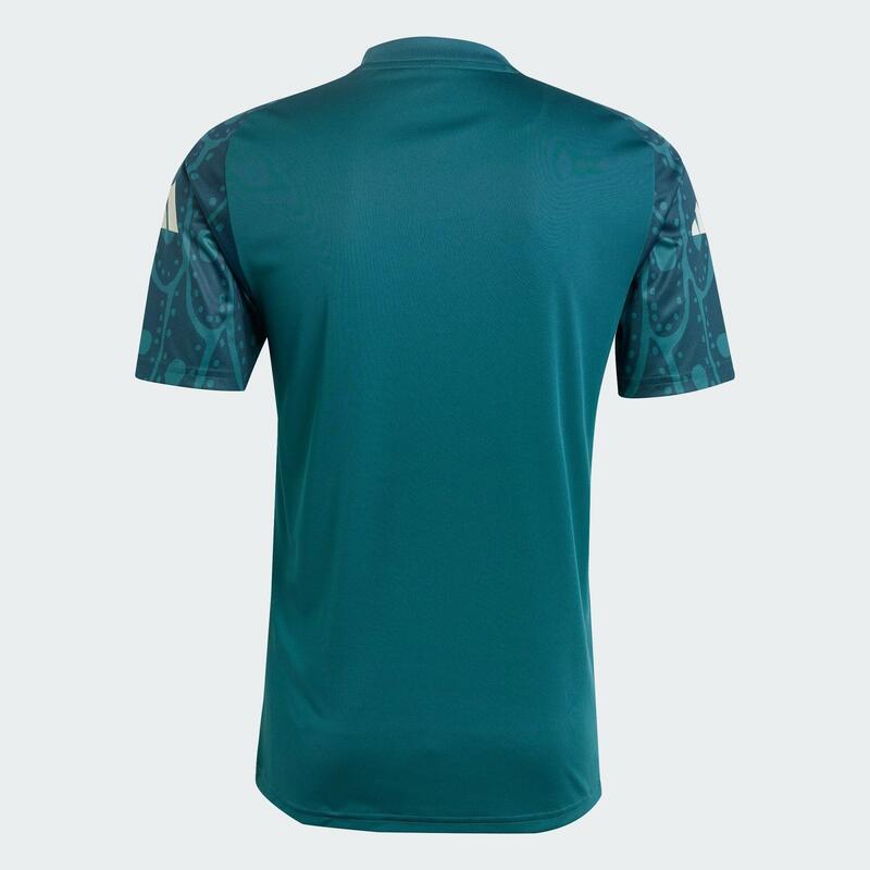 Mexico Pre-Match Voetbalshirt