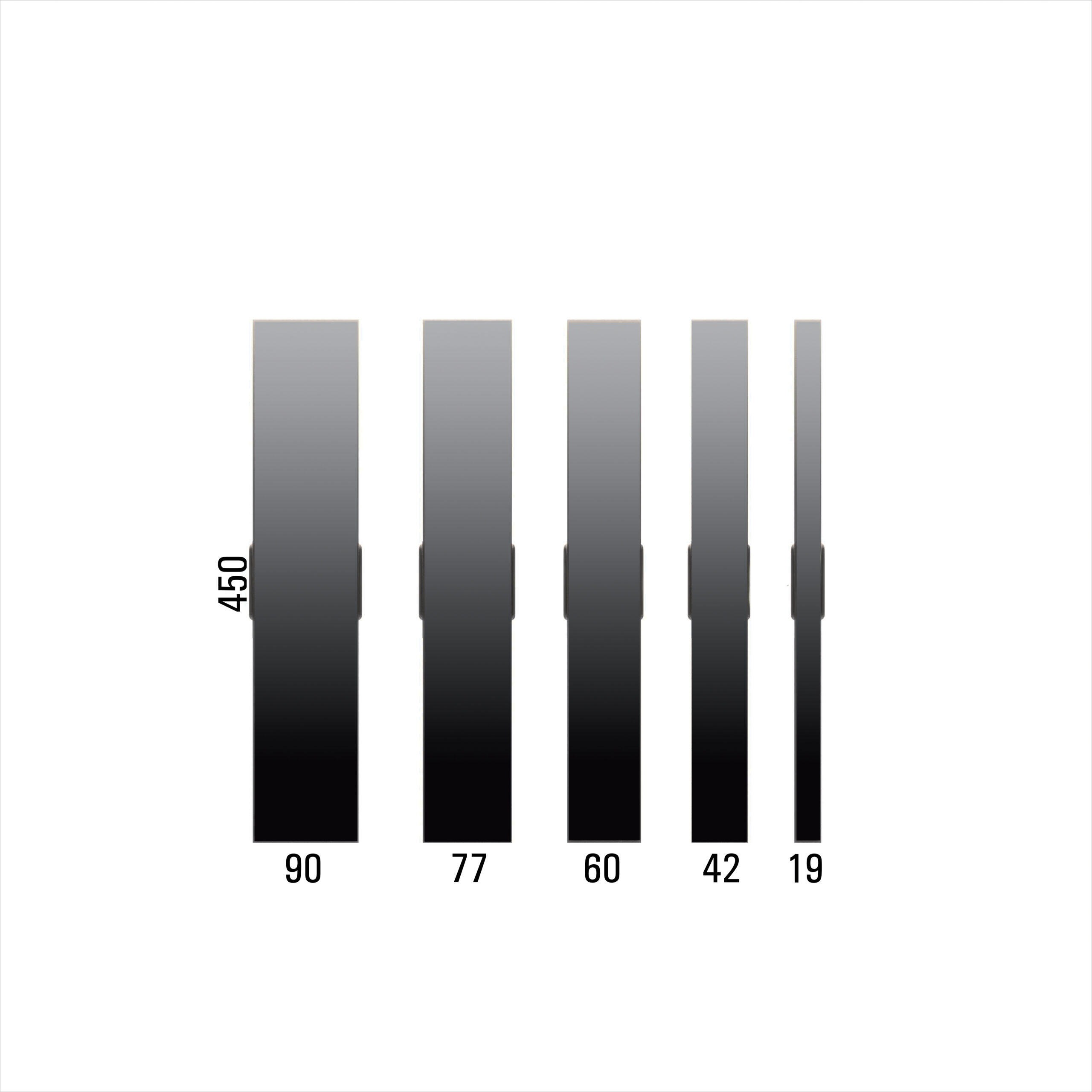 Kit Bumper 70kg FDBT Training Absolute ⌀ 50 mm 5/5