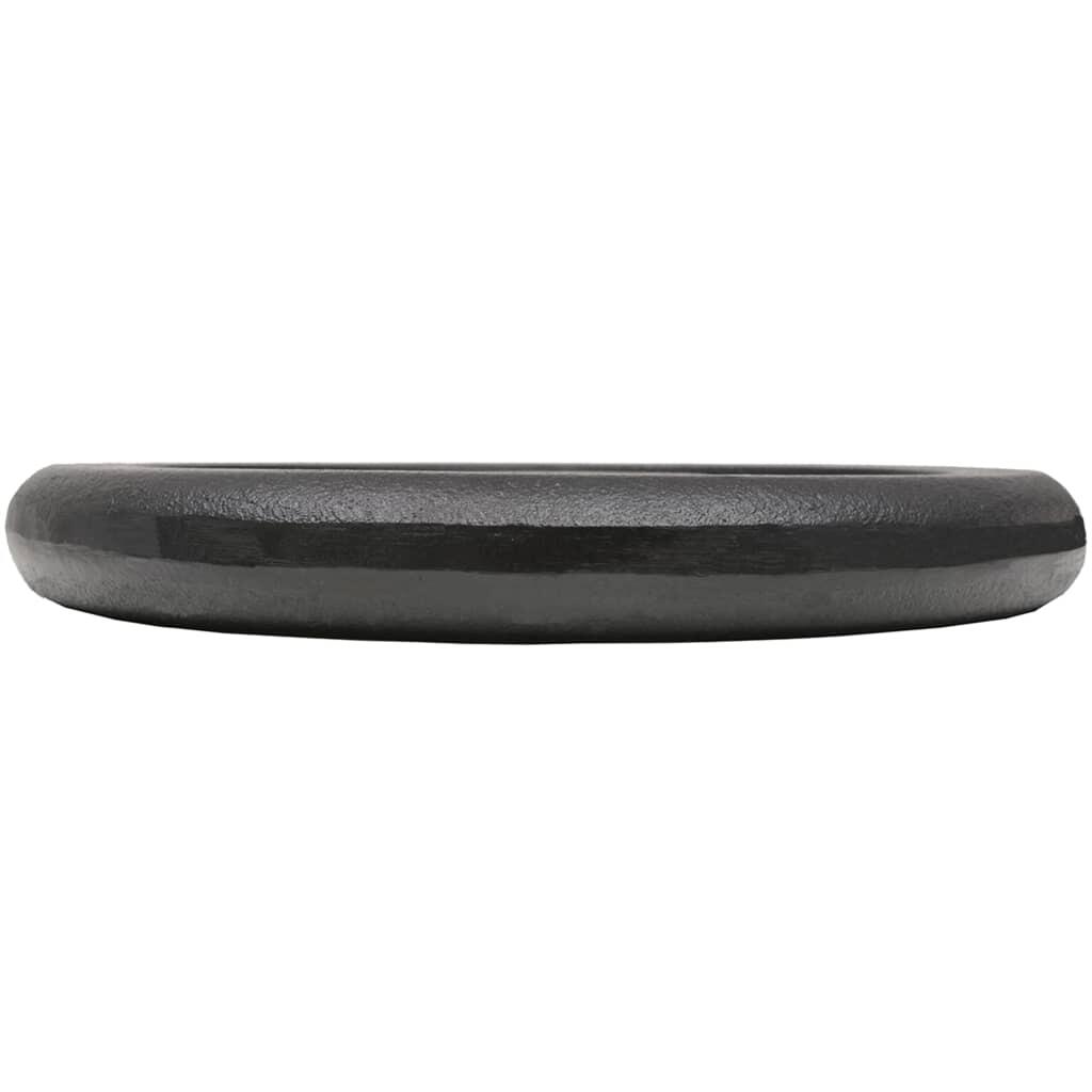 VidaXL gietijzeren halterschijven 2 x 10 kg 30 mm 4/4