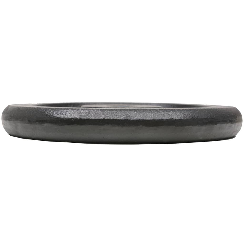 Discos de pesas de hierro fundido 4 uds 4x7,5 kg 4/4