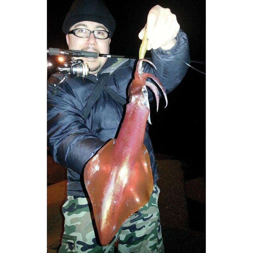 Squid Eging AKAMI SHINOMORI|COLOR shg|EGI 3.0 4/4